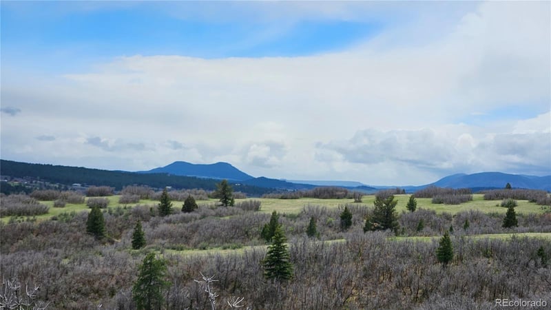 5250 Tall Horse Trl Lot 6, Sedalia, CO 80135