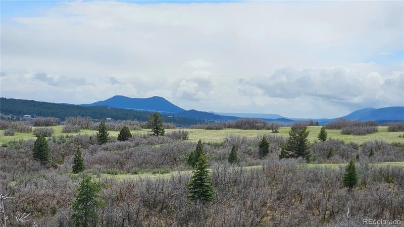 5250 Tall Horse Trl Lot 6, Sedalia, CO 80135