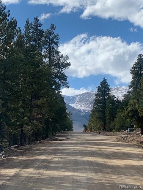 180 Peak View Dr, Leadville, CO 81251