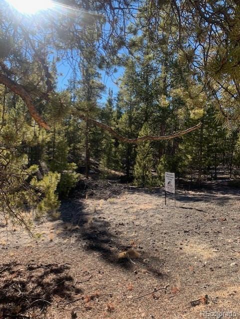 180 Peak View Dr, Leadville, CO 81251