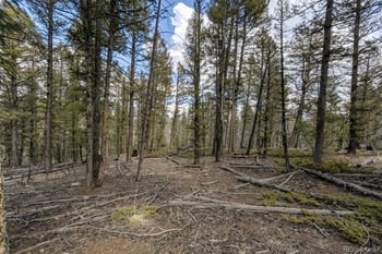 1430 Singletree Rd, Hartsel, CO 80449