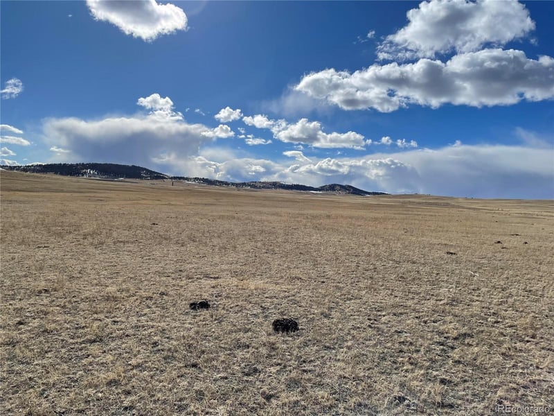 305 Badger Ln, Hartsel, CO 80449