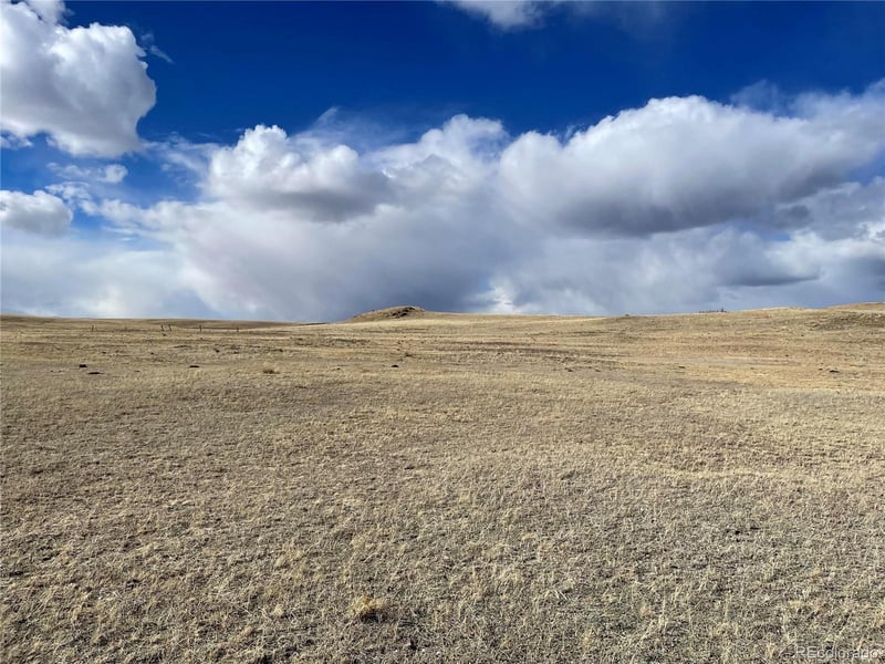 305 Badger Ln, Hartsel, CO 80449