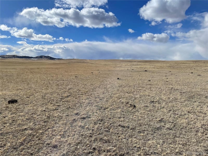 305 Badger Ln, Hartsel, CO 80449