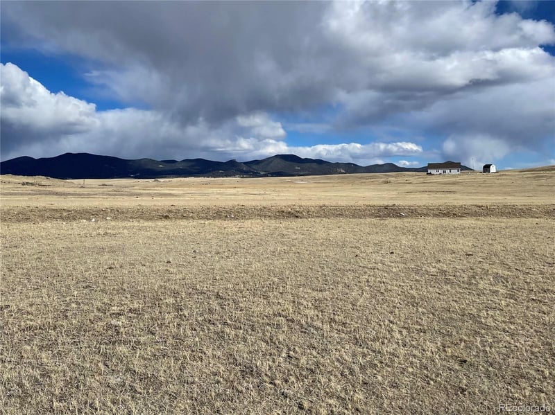 305 Badger Ln, Hartsel, CO 80449