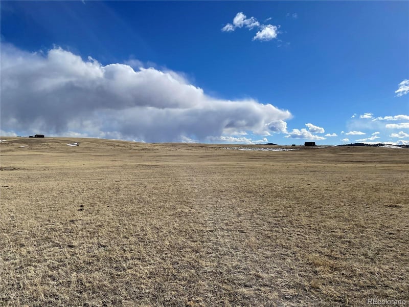 305 Badger Ln, Hartsel, CO 80449