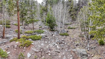 30176 Mountaintop Dr, Buena Vista, CO 81211