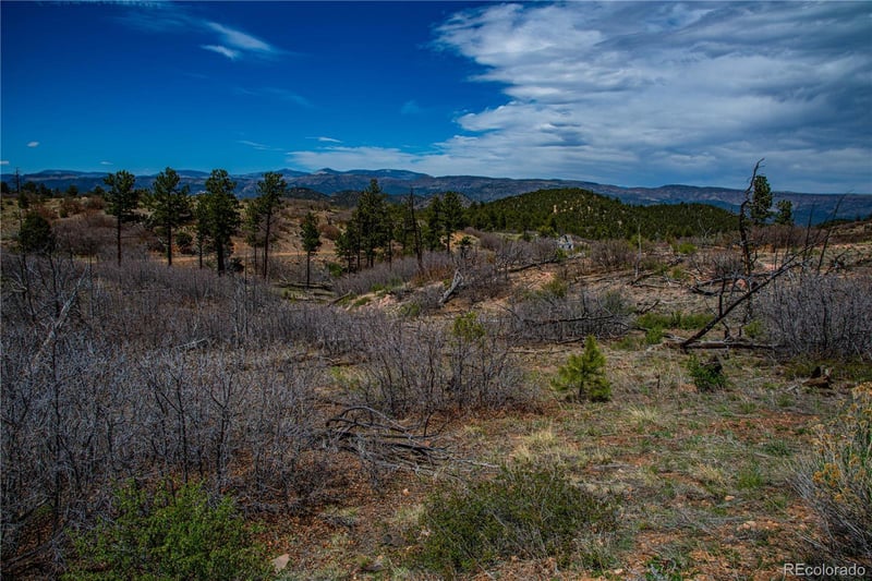 221 Cottonwood Dr, Cotopaxi, CO 81223