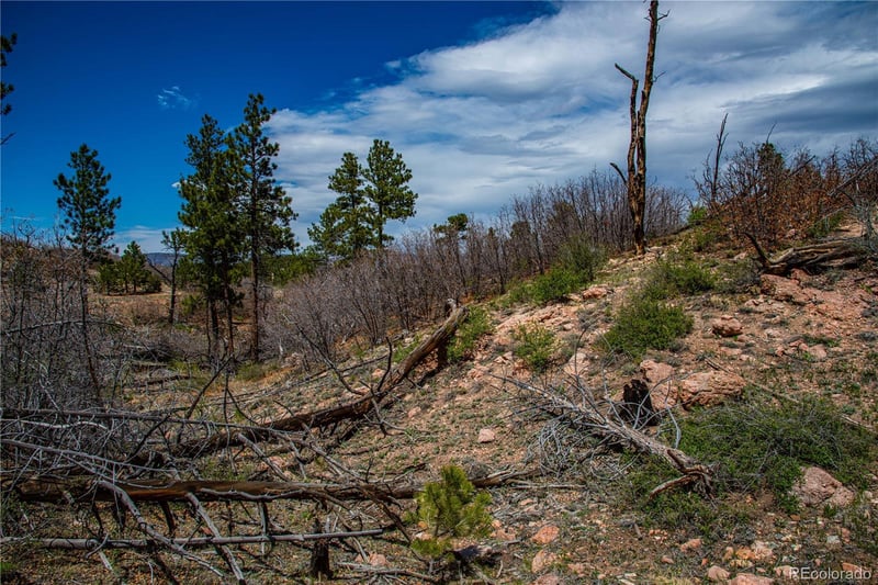 221 Cottonwood Dr, Cotopaxi, CO 81223