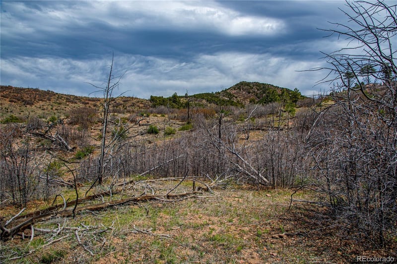 221 Cottonwood Dr, Cotopaxi, CO 81223