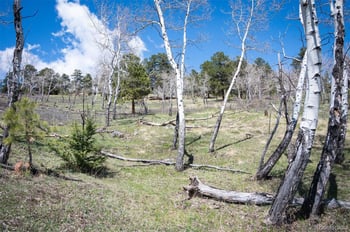 Tbd Pine Valley Rd, Evergreen, CO 80439