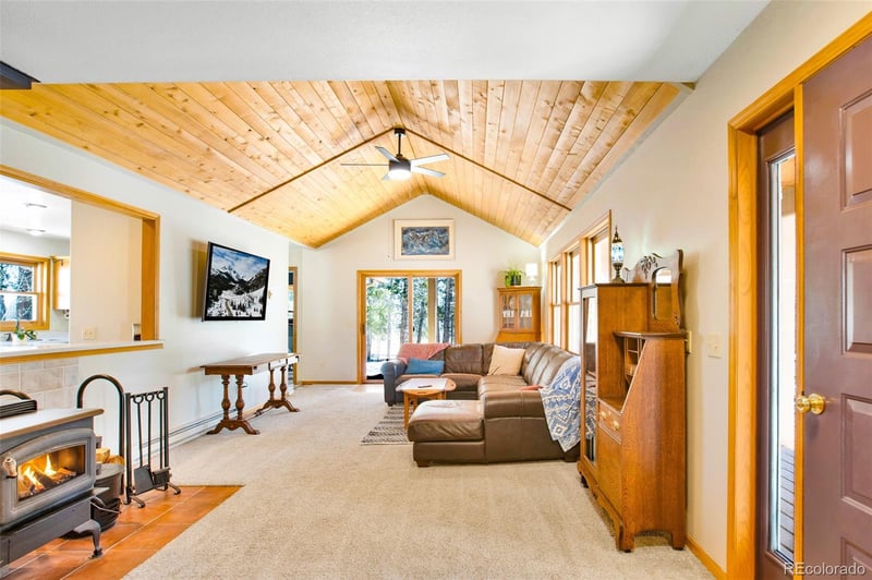 757 Thompson Park Rd, Fairplay, CO 80440