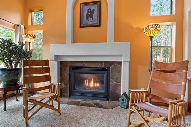 248 Pine Forest Rd, Lake George, CO 80827
