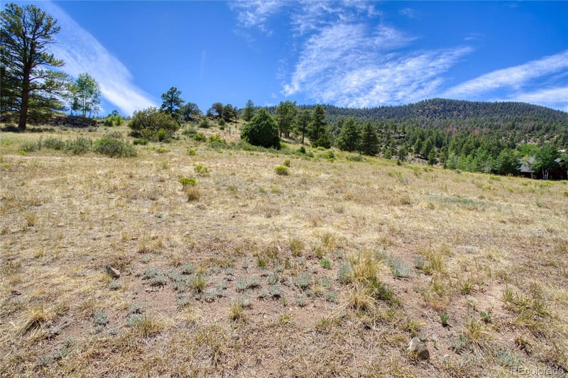 472 Rio Grande Club Trl Lot 22, South Fork, CO 81154