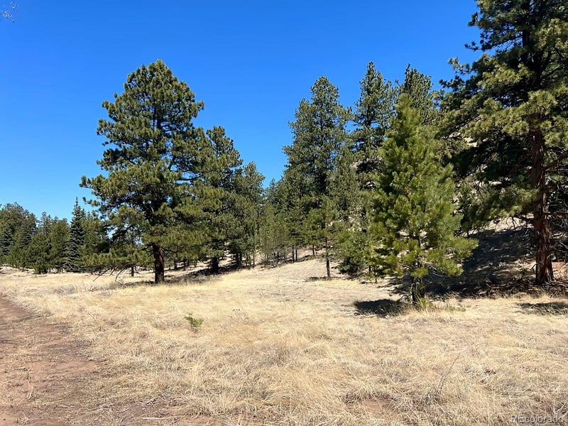 1500 Bunker Hill Rd, Westcliffe, CO 81252