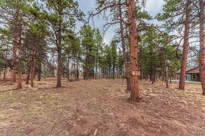 1290 Firestone Dr, Woodland Park, CO 80863