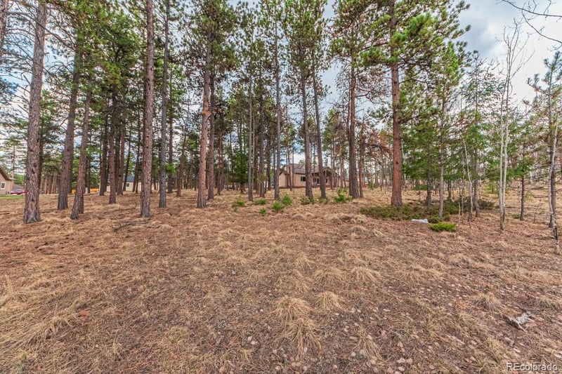 1290 Firestone Dr, Woodland Park, CO 80863