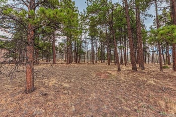 1290 Firestone Dr, Woodland Park, CO 80863