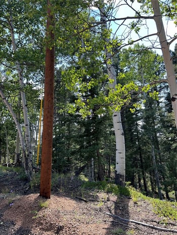 127 Rampart Cir, Florissant, CO 80816