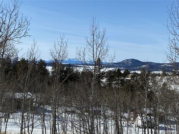 001 Bonus Gulch Way, Jefferson, CO 80456