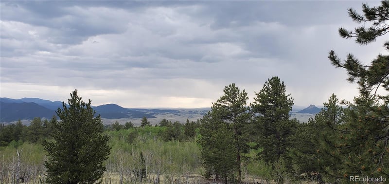 001 Bonus Gulch Way, Jefferson, CO 80456