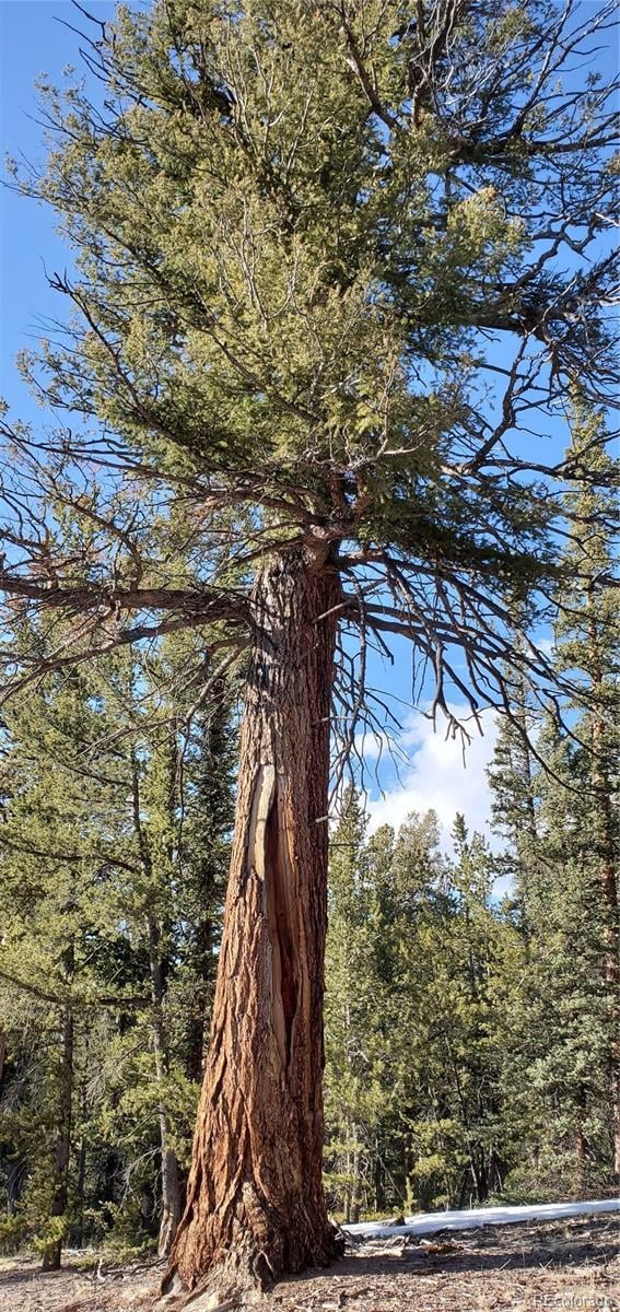 001 Bonus Gulch Way, Jefferson, CO 80456