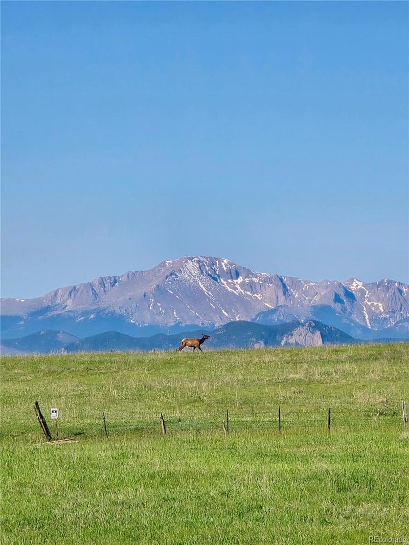 15125 Spring Valley Rd, Larkspur, CO 80118
