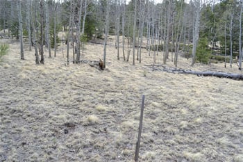 10340 Ranch Rd, Hartsel, CO 80449