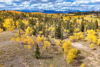 4019 Buffalo Ridge Rd, Como, CO 80432