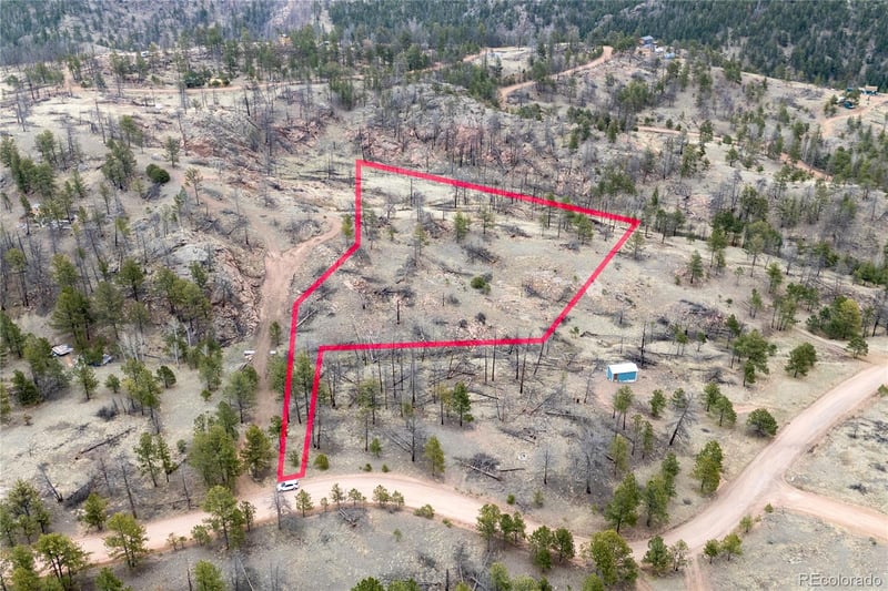 144 Chapparal Trl, Florissant, CO 80816