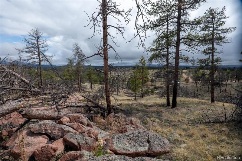 144 Chapparal Trl, Florissant, CO 80816