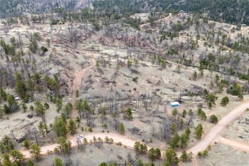 144 Chapparal Trl, Florissant, CO 80816