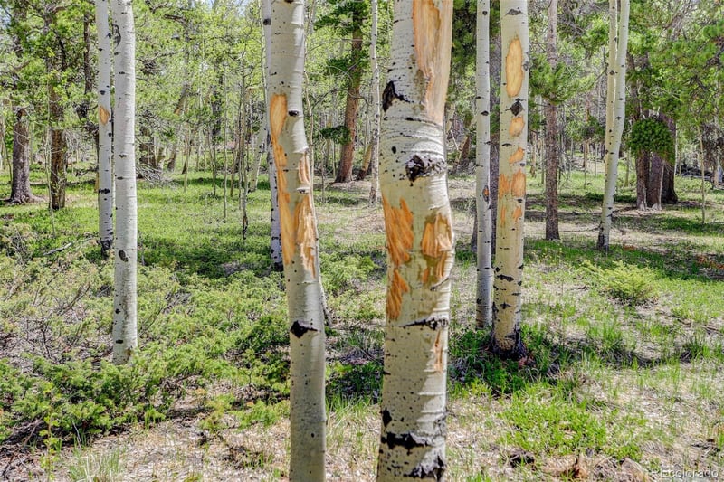 300 Badger Rd, Black Hawk, CO 80422