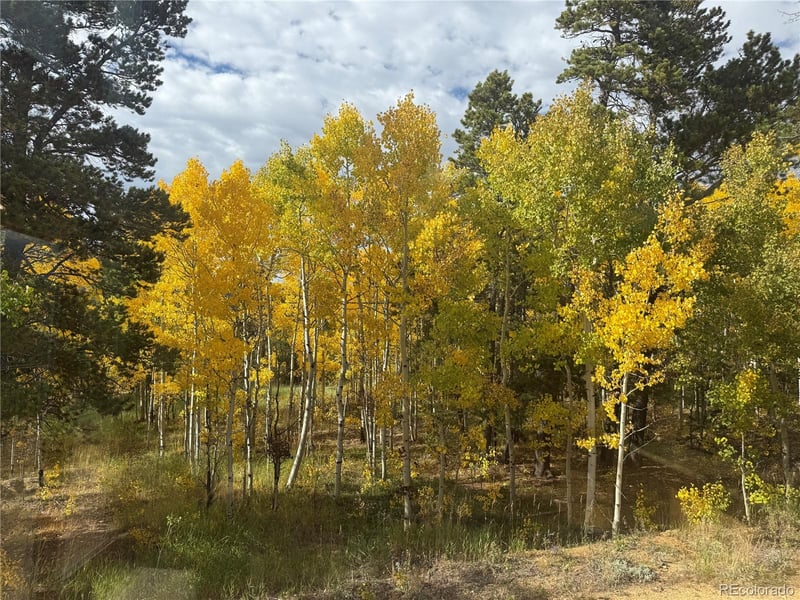 300 Badger Rd, Black Hawk, CO 80422