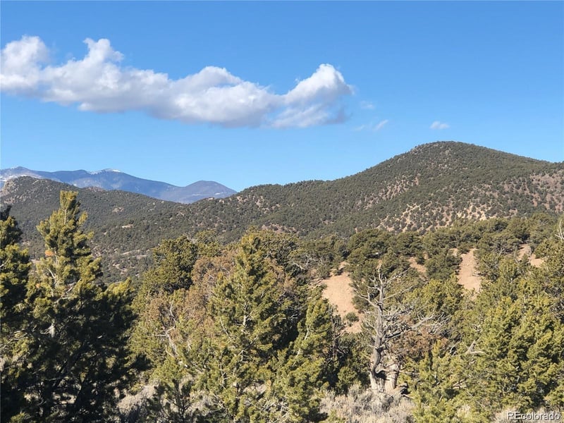 00 Bidwell Rd, Fort Garland, CO 81133