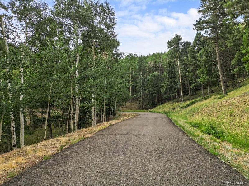 26273 Richmond Hill Rd, Conifer, CO 80443