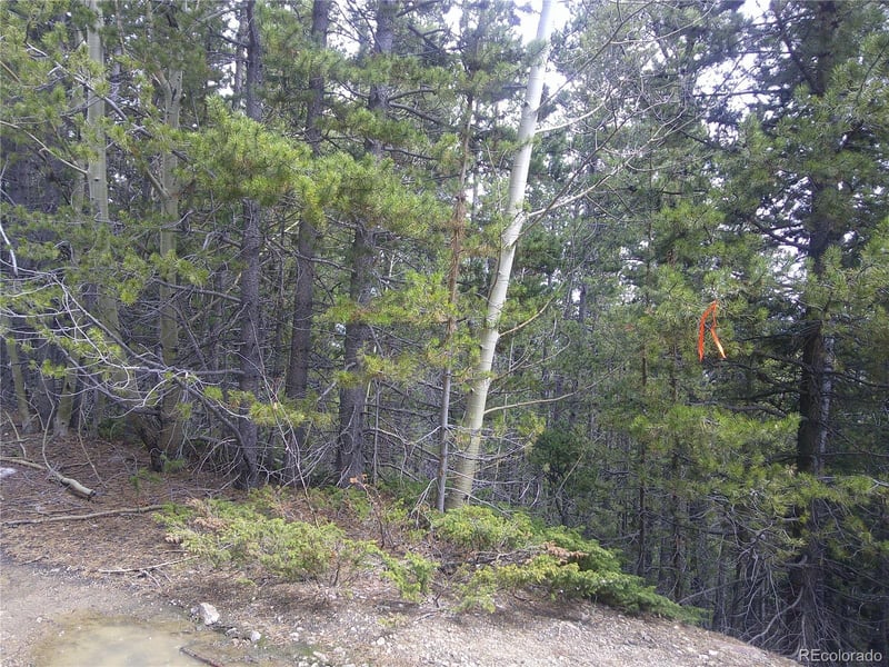 Hillside Rd, Idaho Springs, CO 80452
