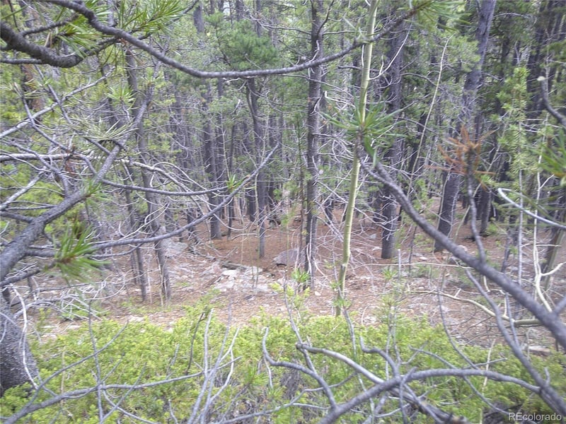 Hillside Rd, Idaho Springs, CO 80452