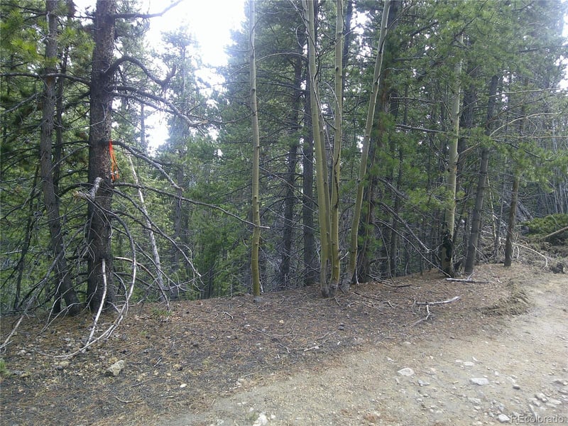 Hillside Rd, Idaho Springs, CO 80452