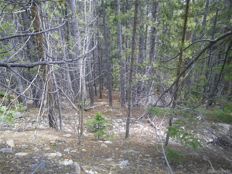 Hillside Rd, Idaho Springs, CO 80452