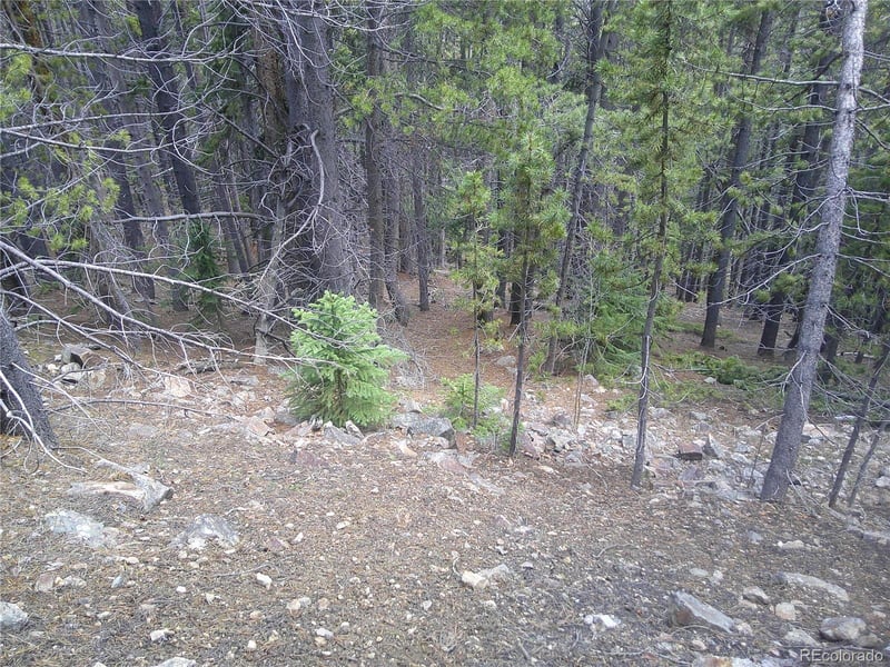 Hillside Rd, Idaho Springs, CO 80452