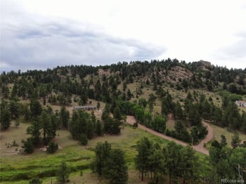 76 Crocus Cir, Florissant, CO 80816