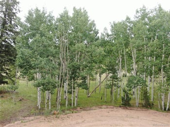 76 Crocus Cir, Florissant, CO 80816