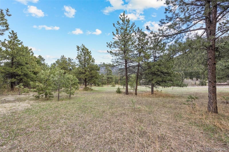 6068 Skyline Dr, Evergreen, CO 80439