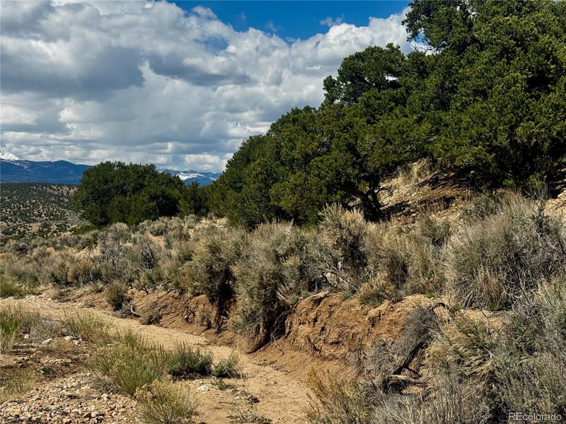 lot 3817 Fontaine Rd, Fort Garland, CO 81133