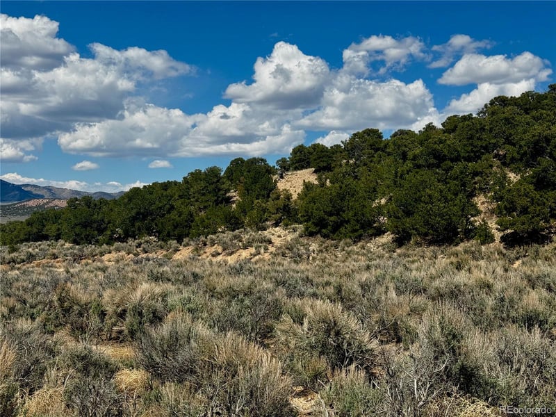 lot 3817 Fontaine Rd, Fort Garland, CO 81133