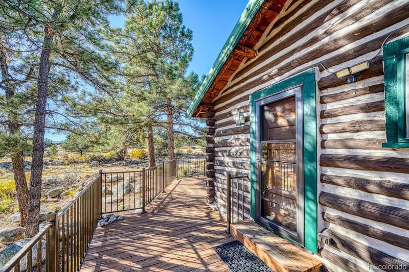 22450 County Road 287, Nathrop, CO 81236