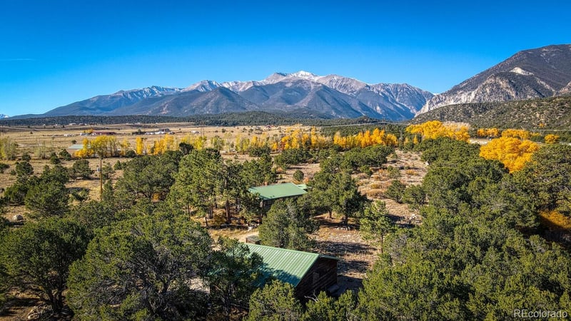 22450 County Road 287, Nathrop, CO 81236