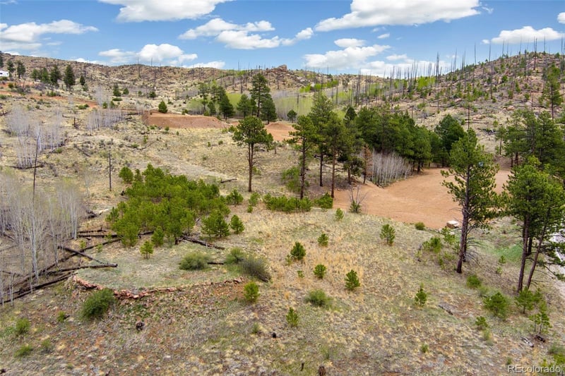 13990 State Highway 67, Woodland Park, CO 80863