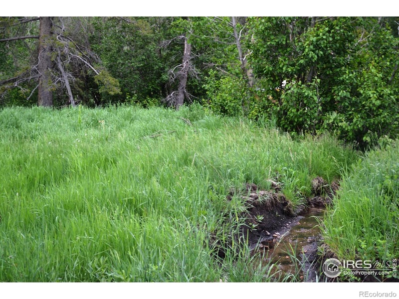 1256 Basking Dog Rd, Bellvue, CO 80512